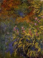 Monet, Claude Oscar - Irises